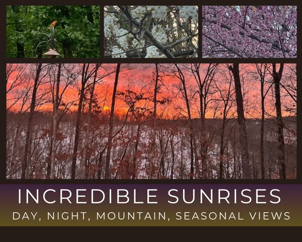 1590 Red Rock Road, Galena, MO 65656