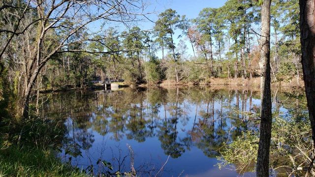 Lots 411 & 412 Big Deer Drive, Crosby, TX 77532