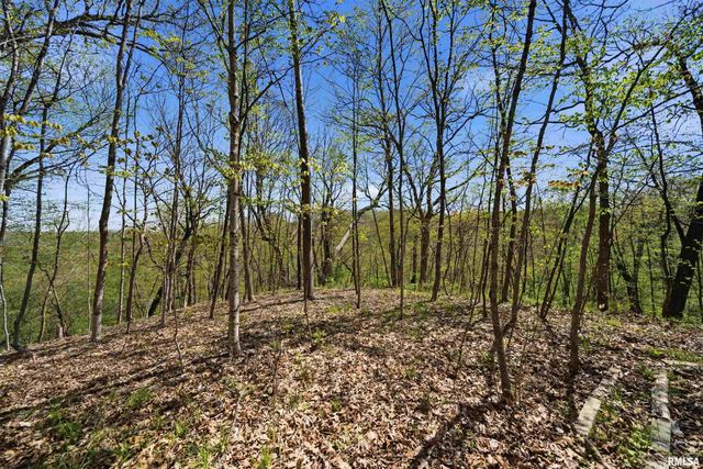 658 COON CREEK Road, Metamora, IL 61548