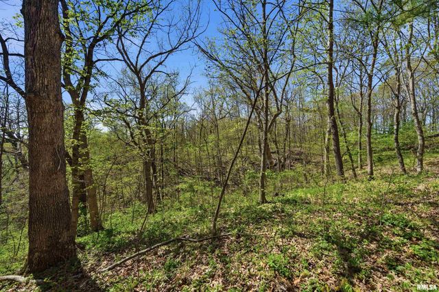 658 COON CREEK Road, Metamora, IL 61548