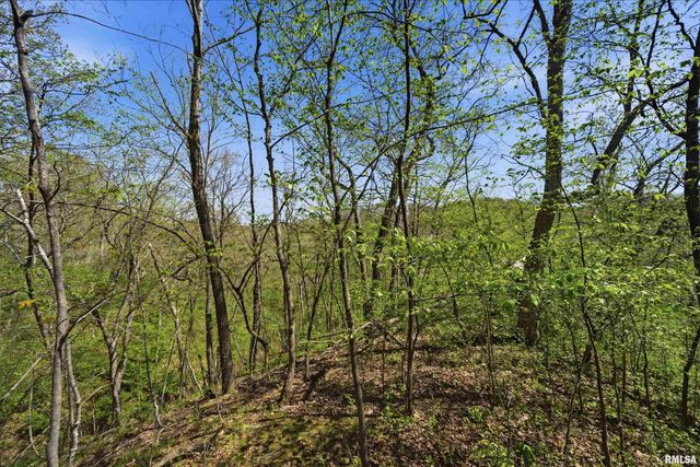 658 COON CREEK Road, Metamora, IL 61548