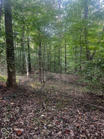9089 Gold Point Road, Trafalgar, IN 46181