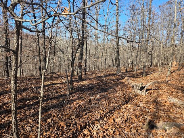 465030 McSpadden Ridge, Proctor, OK 74457