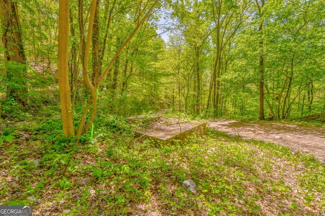 418 NE Dunaway Gap, Summerville, GA 30747