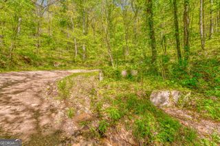 418 NE Dunaway Gap, Summerville, GA 30747