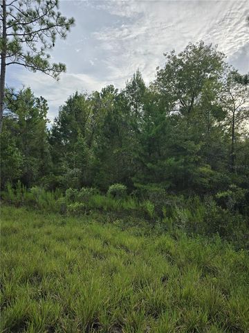 00 NE 124TH TERRACE, Williston, FL 32696