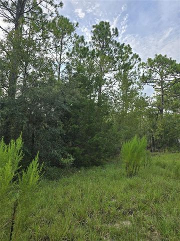 00 NE 124TH TERRACE, Williston, FL 32696