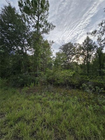 00 NE 124TH TERRACE, Williston, FL 32696