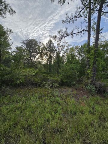 00 NE 124TH TERRACE, Williston, FL 32696