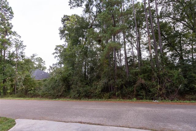 31 Holly Springs Drive, Conroe, TX 77302