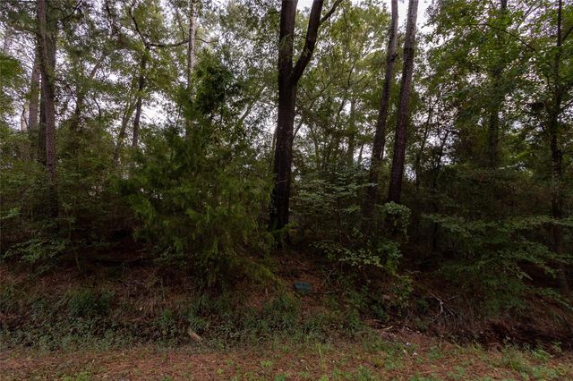 31 Holly Springs Drive, Conroe, TX 77302