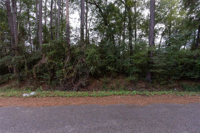 31 Holly Springs Drive, Conroe, TX 77302