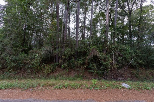 31 Holly Springs Drive, Conroe, TX 77302