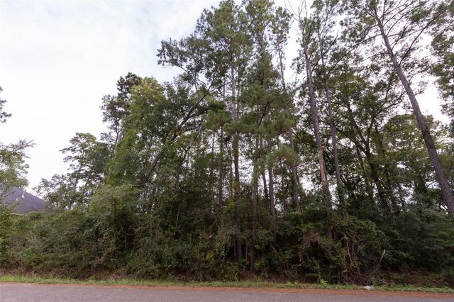 31 Holly Springs Drive, Conroe, TX 77302