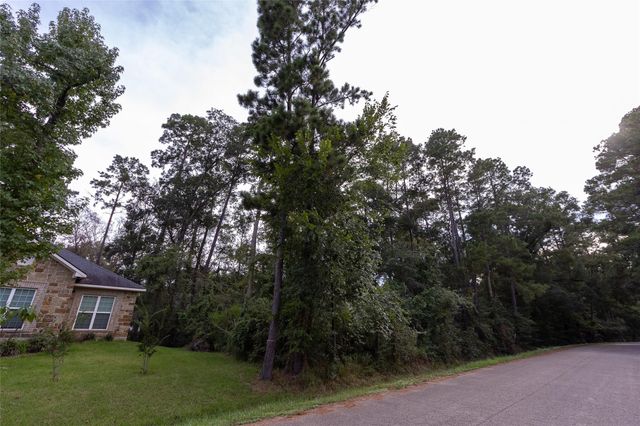 31 Holly Springs Drive, Conroe, TX 77302