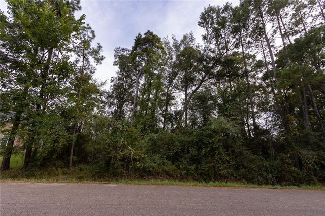 31 Holly Springs Drive, Conroe, TX 77302
