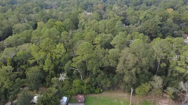 31 Holly Springs Drive, Conroe, TX 77302