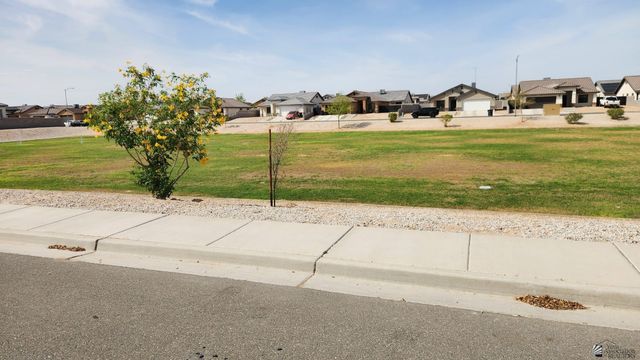 4241 E Los Olivos Dr, San Luis, AZ 85336
