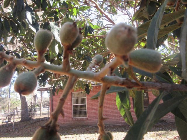 17051 SE 61ST PLACE, Ocklawaha, FL 32179