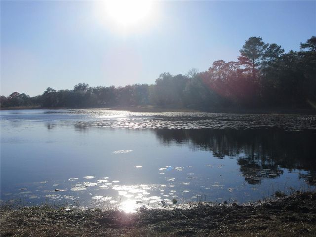 17051 SE 61ST PLACE, Ocklawaha, FL 32179