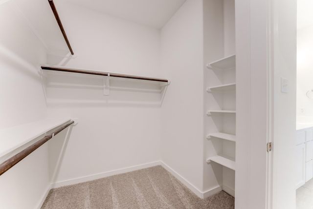 17211 Bluebonnet Creek Trail, Hockley, TX 77447