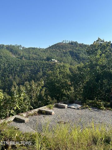 1443 Eagle Cloud Way, Sevierville, TN 37862