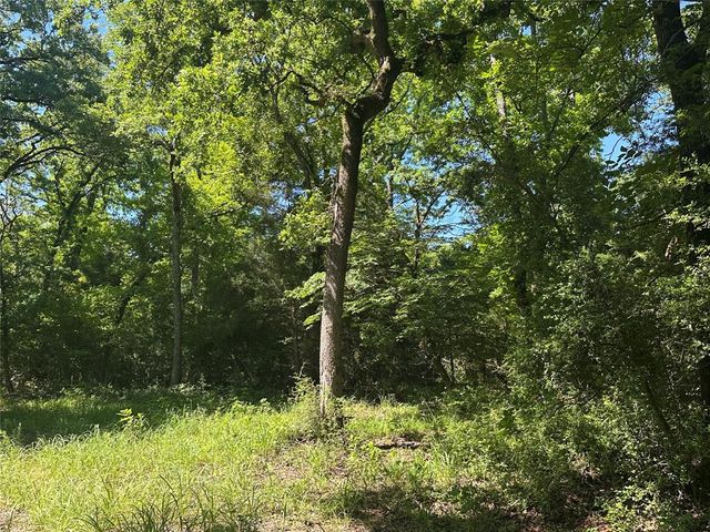 3AC County Road 219, Buffalo, TX 75831