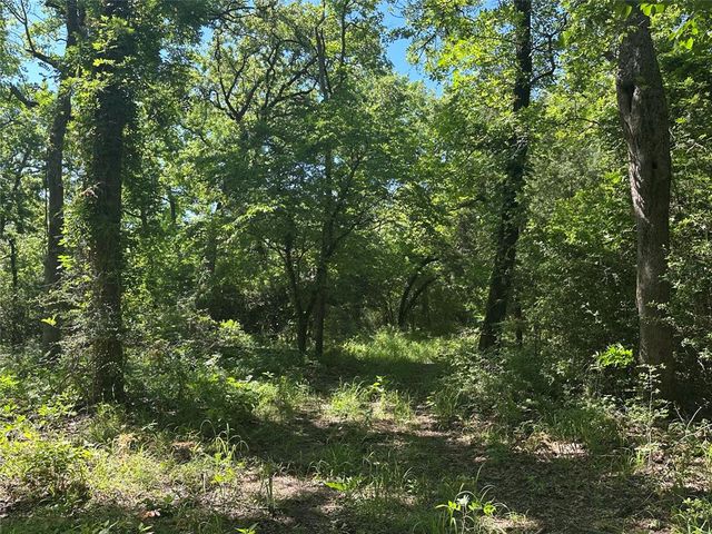 3AC County Road 219, Buffalo, TX 75831