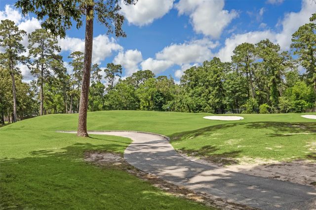 11 Twin Greens Court, Houston, TX 77339