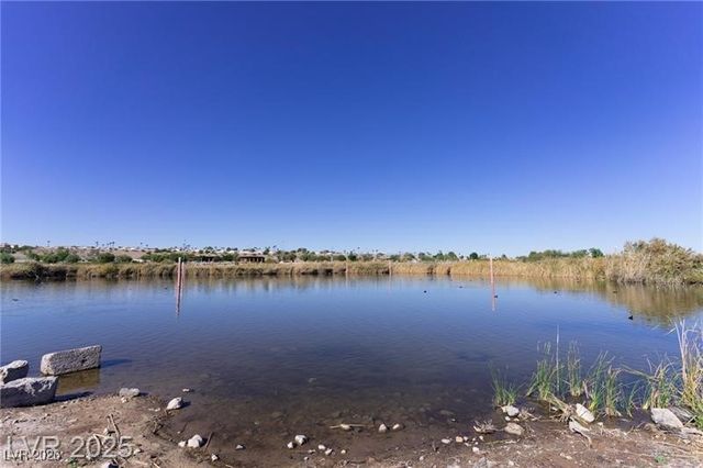 169 Fulgora Street, Henderson, NV 89074