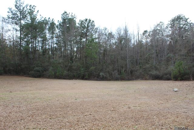 2831 Charlie Overton Rd, Greensburg, LA 70441