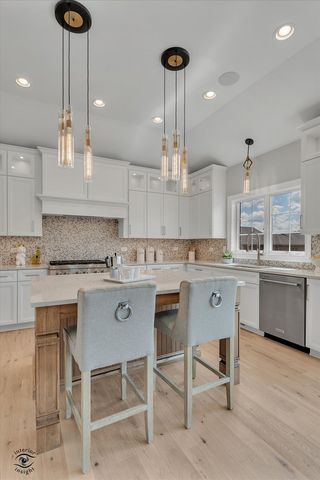 8855 Milwaukee Breakwater Drive, Frankfort, IL 60423