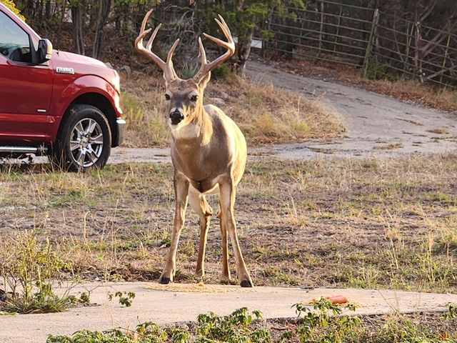 220 Burton Hill Drive, Weatherford, TX 76087