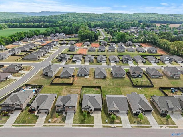 107 Grove Hill Circle, New Market, AL 35761