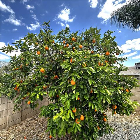 26569 Jaelene, Menifee, CA 92586