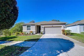 10434 SCENIC HOLLOW DRIVE, Riverview, FL 33578