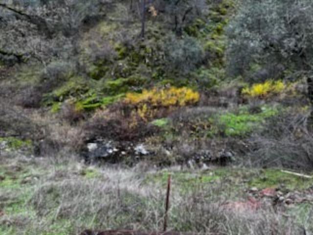 13606 Jeep Trail, Redding, CA 96003