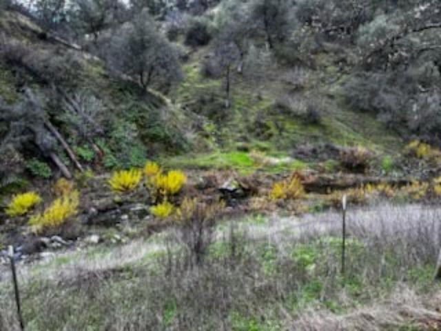 13606 Jeep Trail, Redding, CA 96003