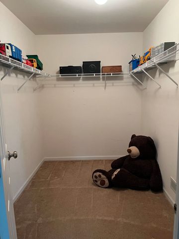 12922 Grande Poplar Circle, Plainfield, IL 60585