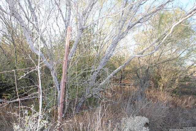 0000 County Road 339, Jourdanton, TX 78026