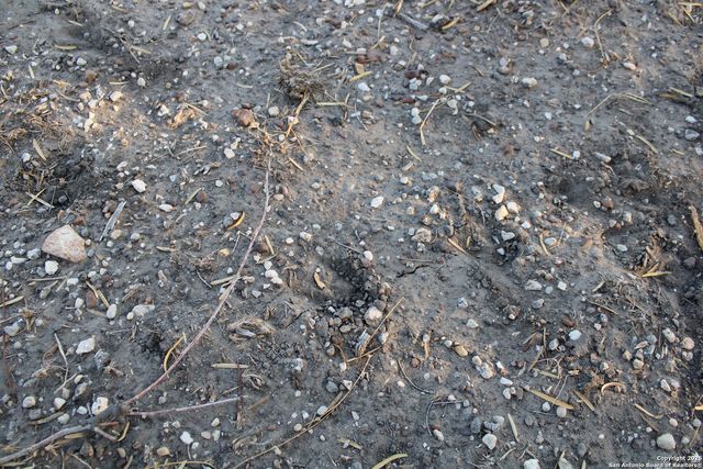 0000 County Road 339, Jourdanton, TX 78026