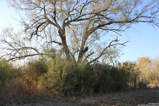 0000 County Road 339, Jourdanton, TX 78026