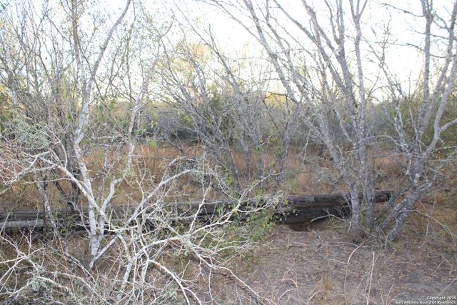 0000 County Road 339, Jourdanton, TX 78026