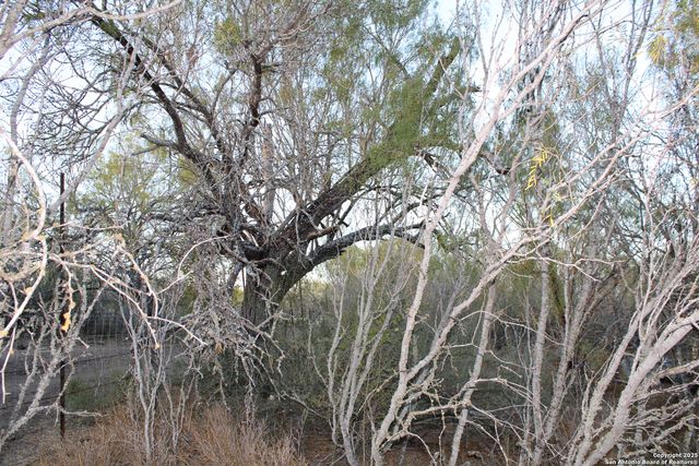 0000 County Road 339, Jourdanton, TX 78026