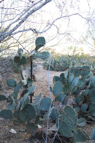 0000 County Road 339, Jourdanton, TX 78026