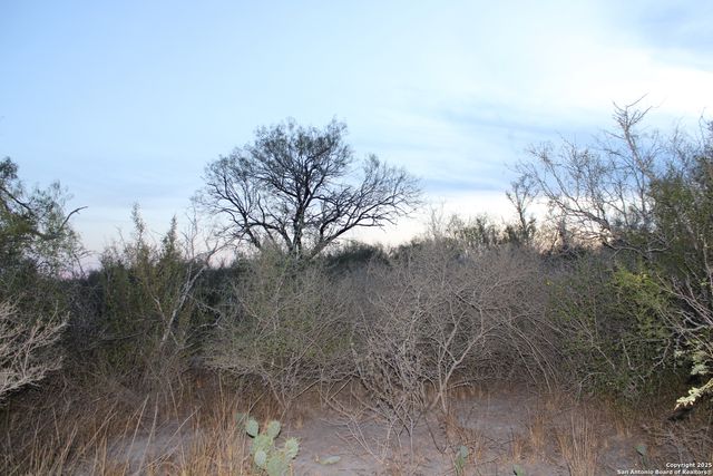 0000 County Road 339, Jourdanton, TX 78026