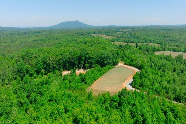 9 Roby Fulk Road, Pinnacle, NC 27043