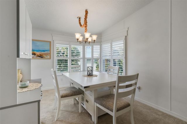 116 DOLPHIN DRIVE S, Oldsmar, FL 34677