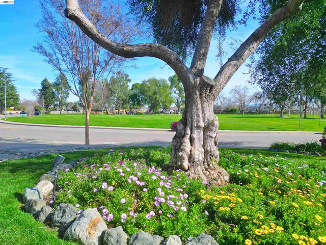 319 Pearl Dr, Livermore, CA 94550