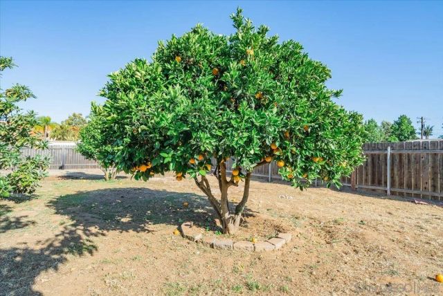 1015 Gamble Ln, Escondido, CA 92029